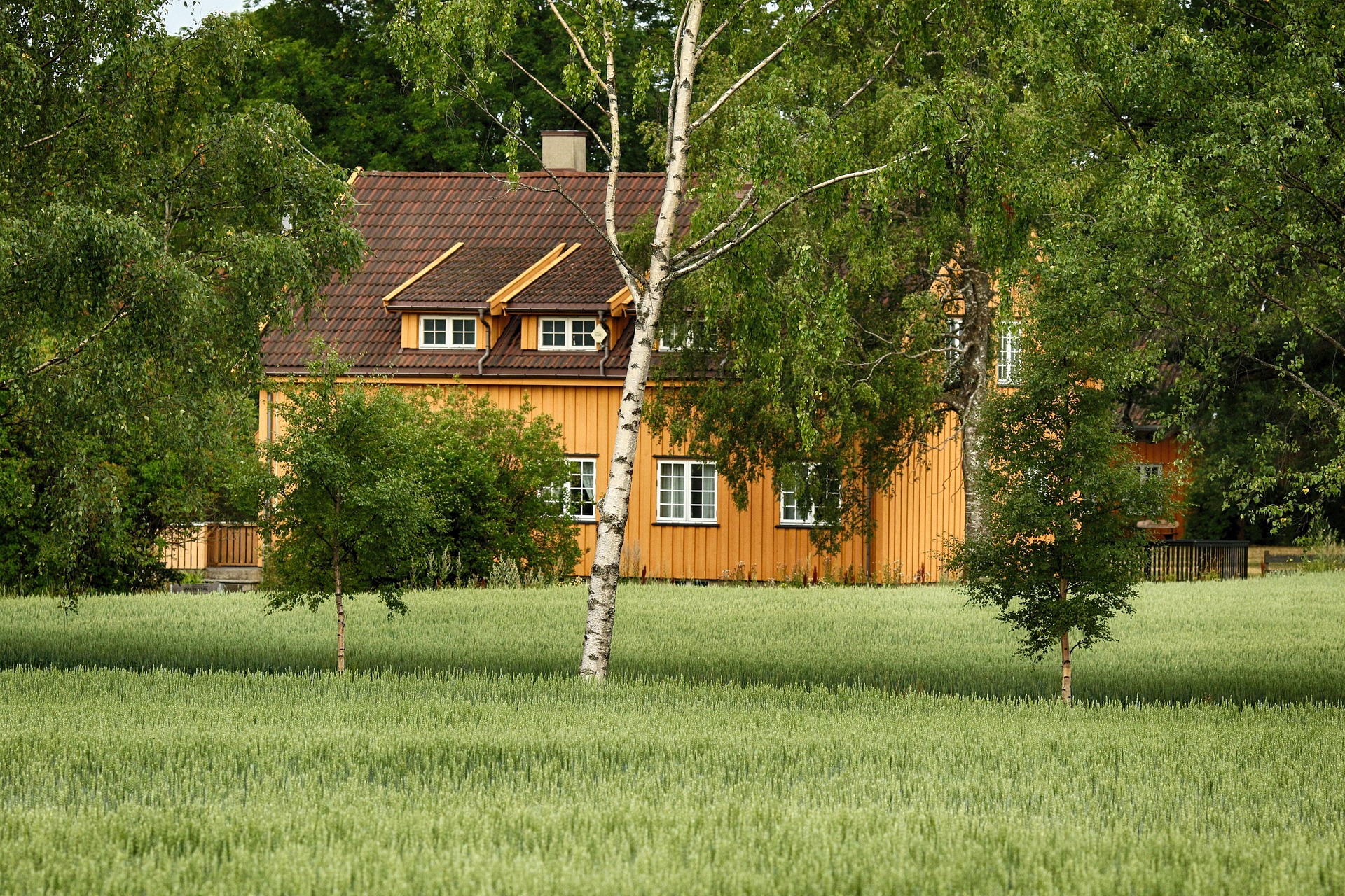 Your mortgage journey